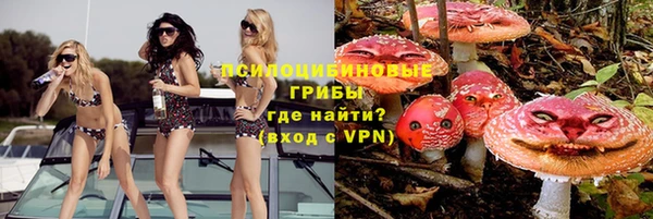 прущая мука Армянск