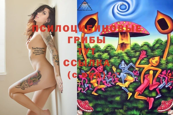 марки nbome Арсеньев